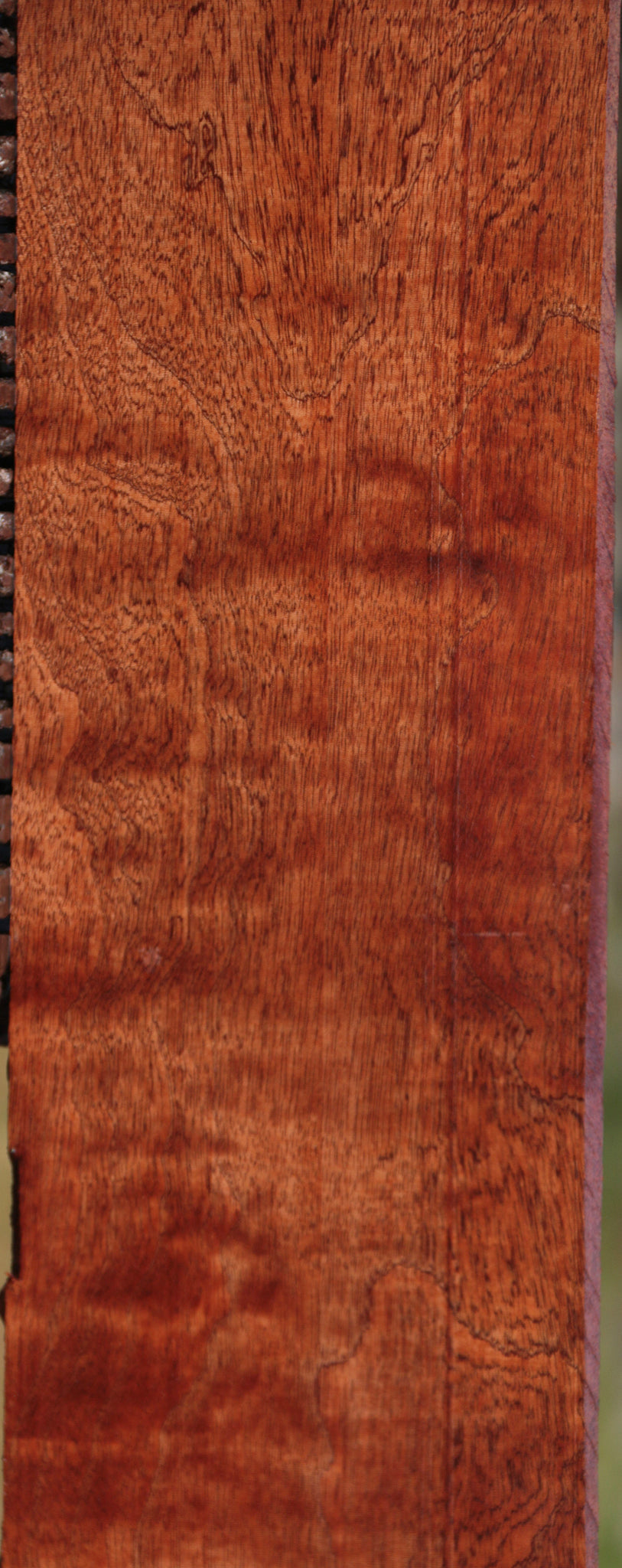 Extra Fancy Sipo Lumber