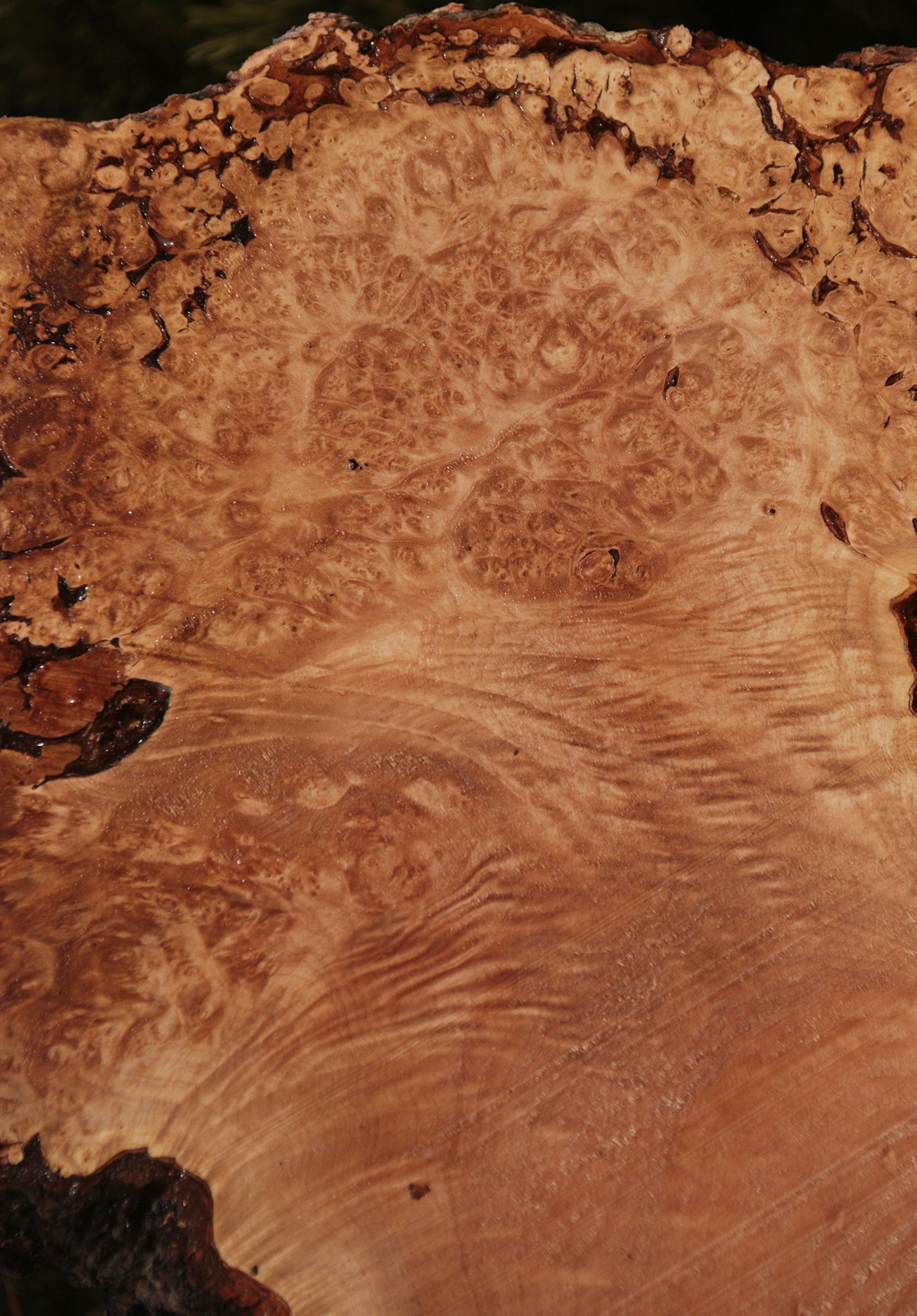 Maple Burl Live Edge Lumber