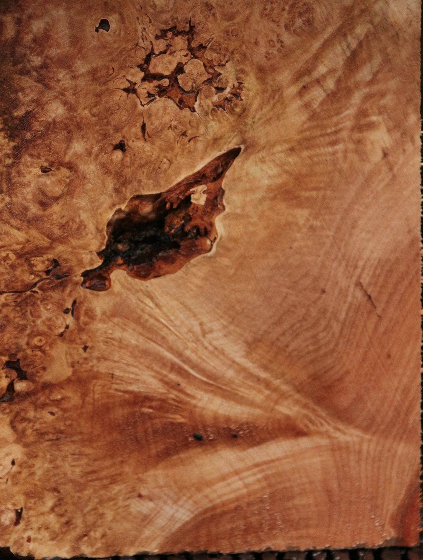 Maple Burl Live Edge Lumber