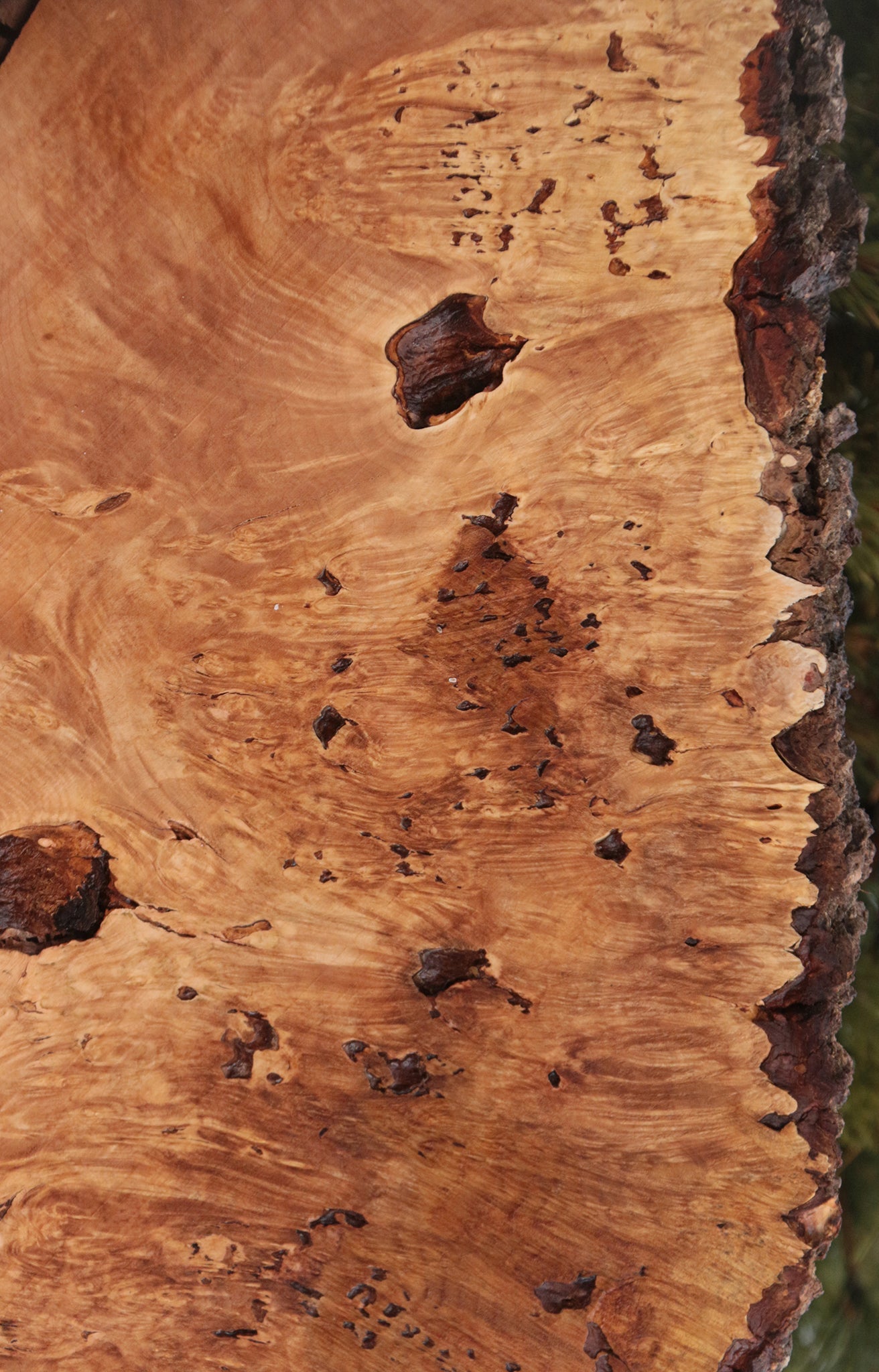 Maple Burl Live Edge Lumber