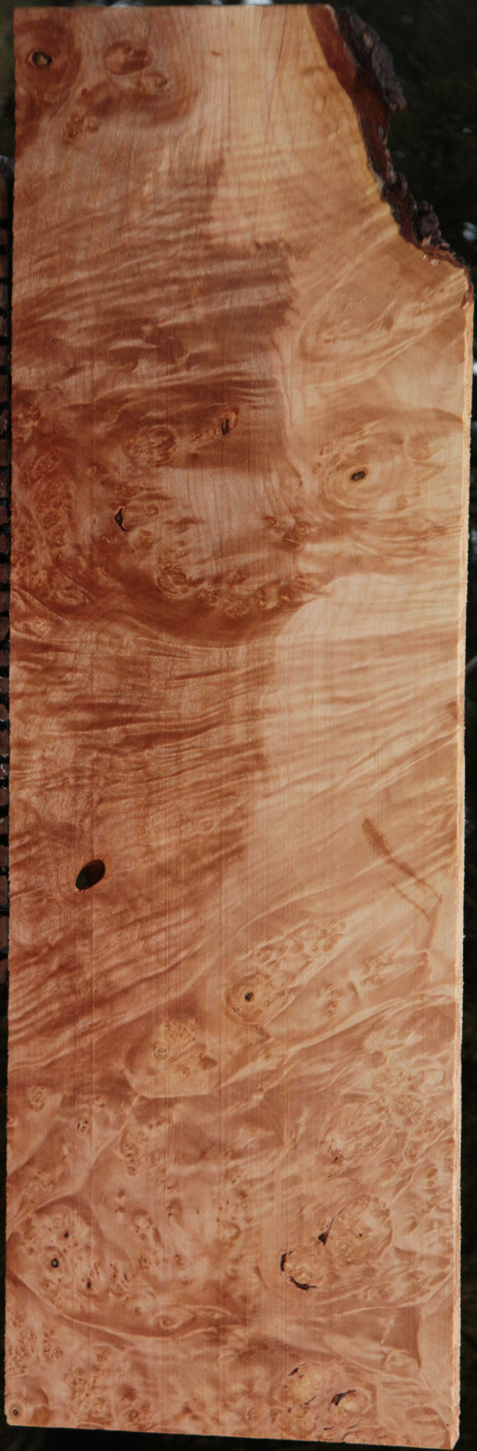 Maple Burl Instrument Lumber
