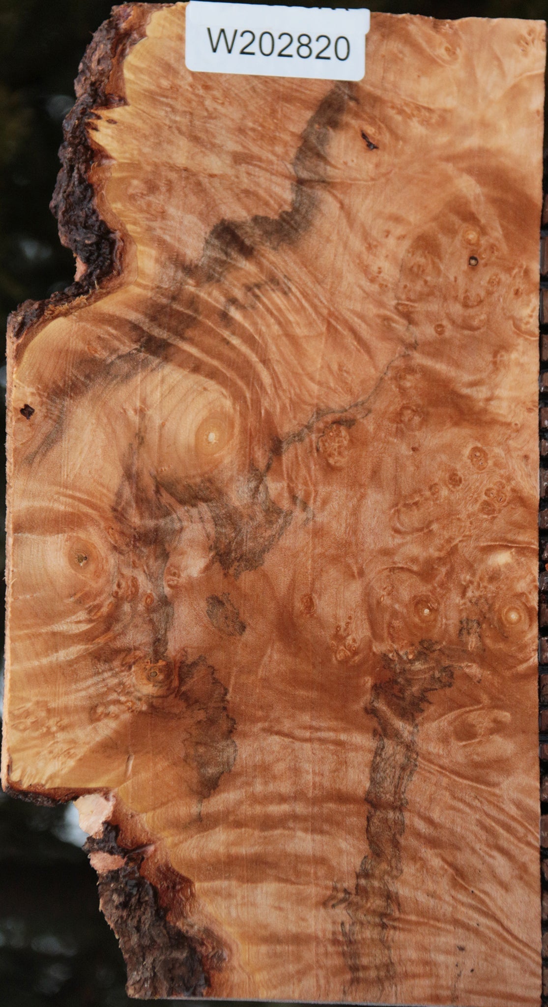 Maple Burl Lumber