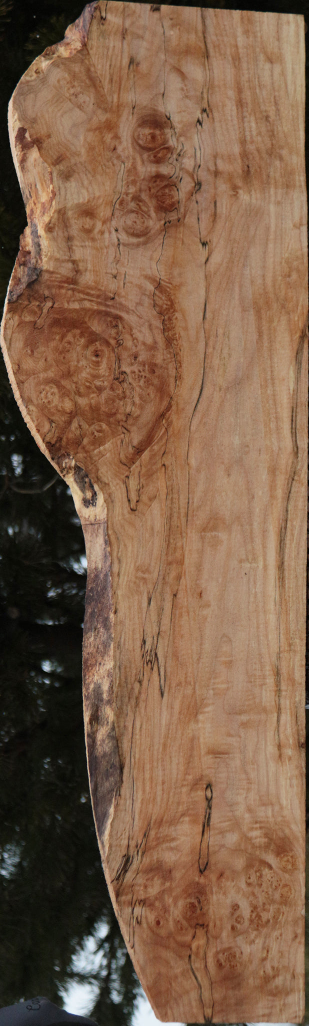 Maple Burl Lumber