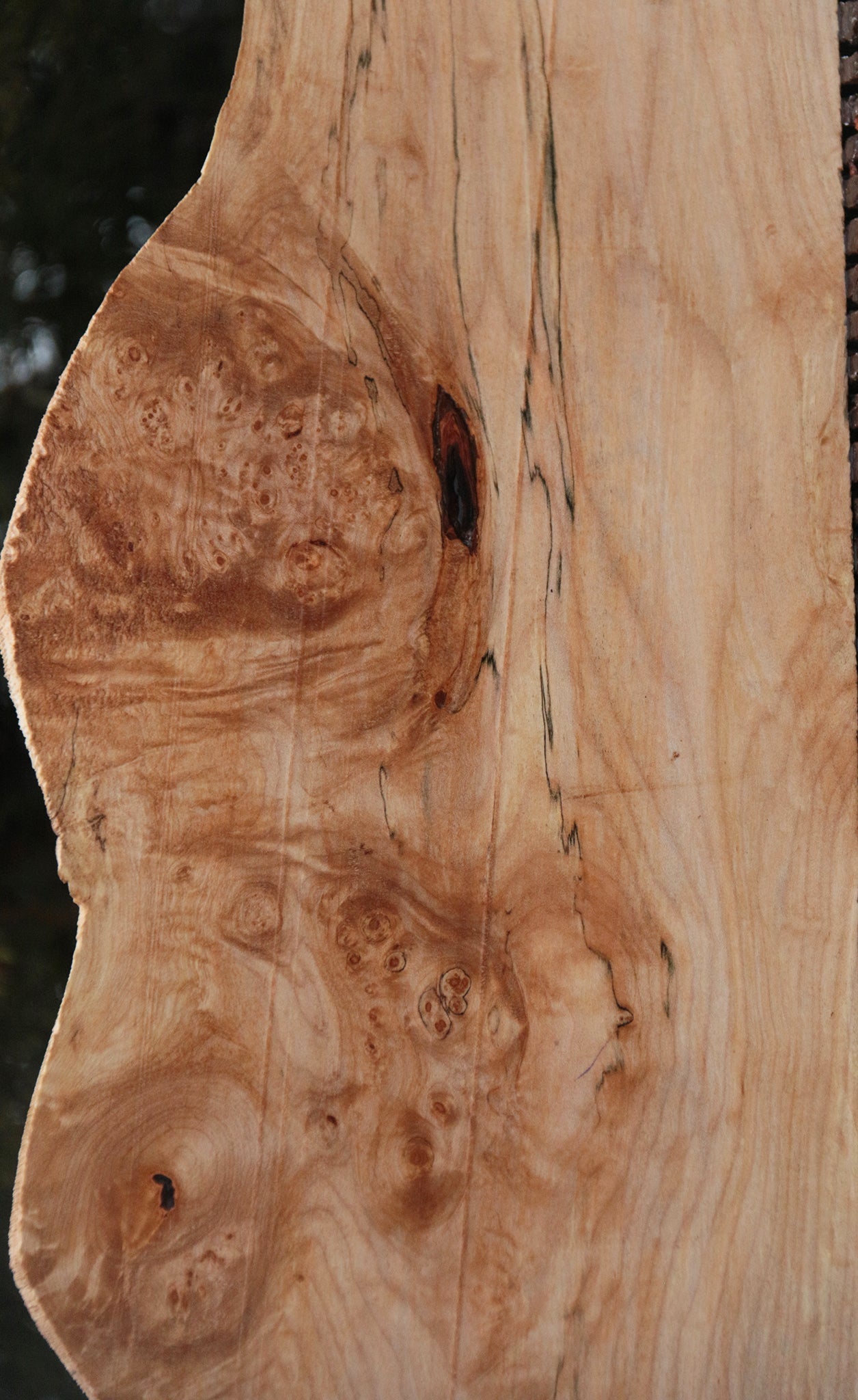 Maple Burl Lumber