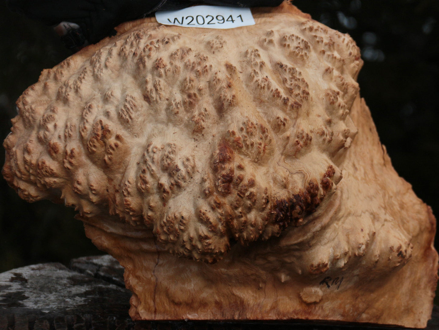 Red Mallee Burl Cap