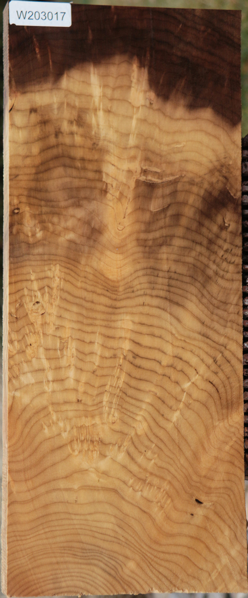 Crotchwood Myrtle Burl Lumber
