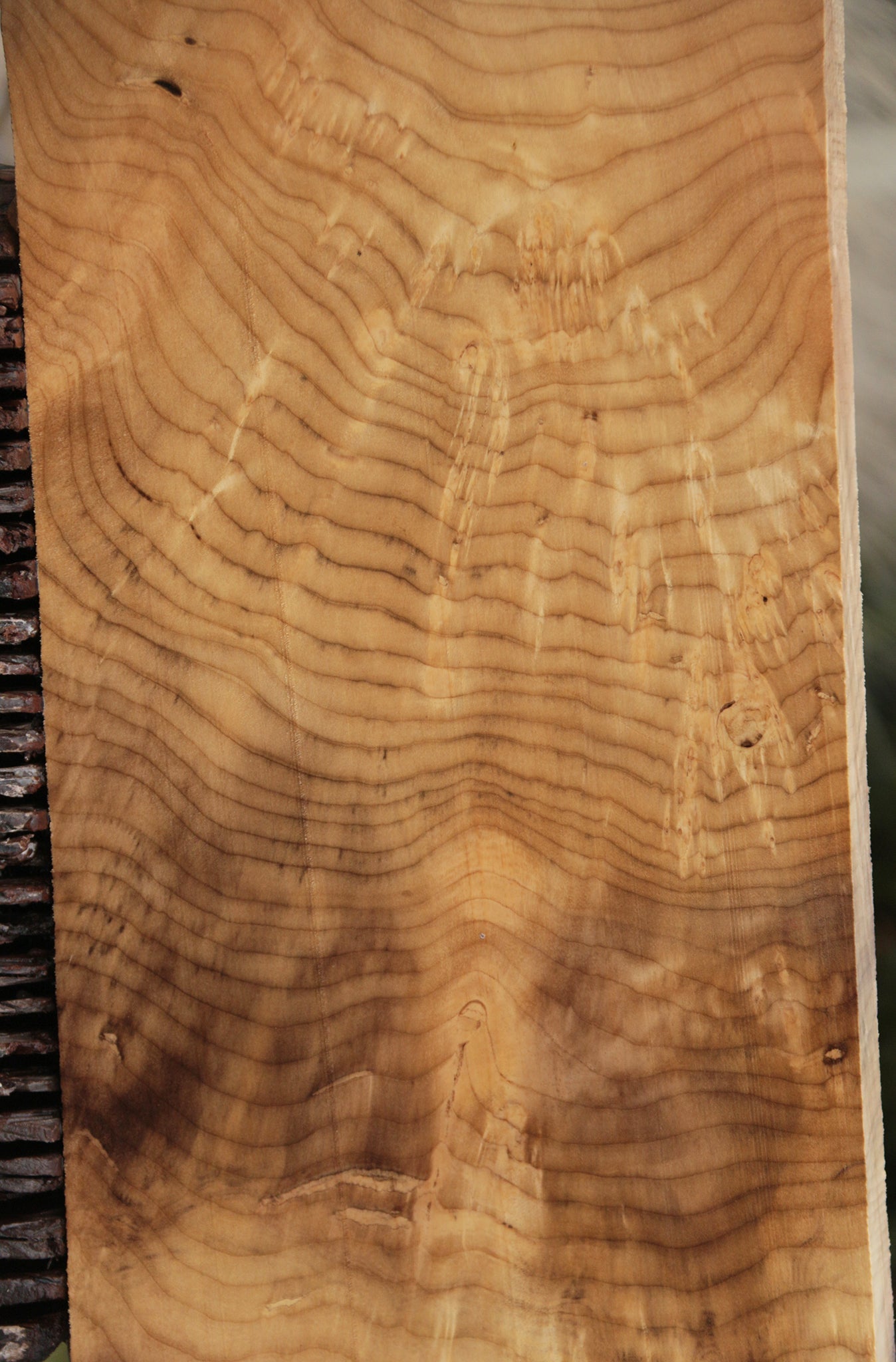 Crotchwood Myrtle Burl Lumber
