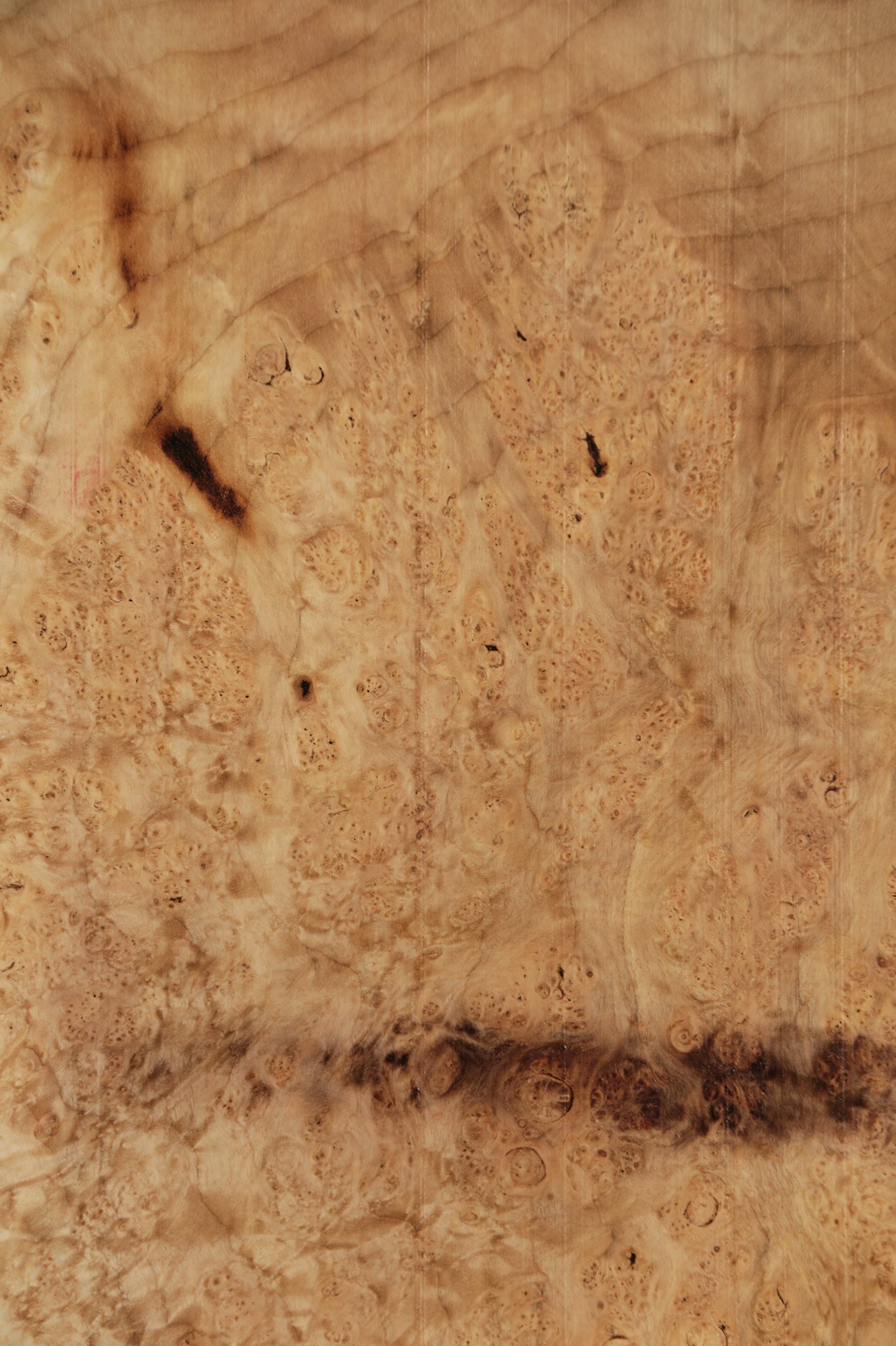 Myrtle Burl Instrument Lumber