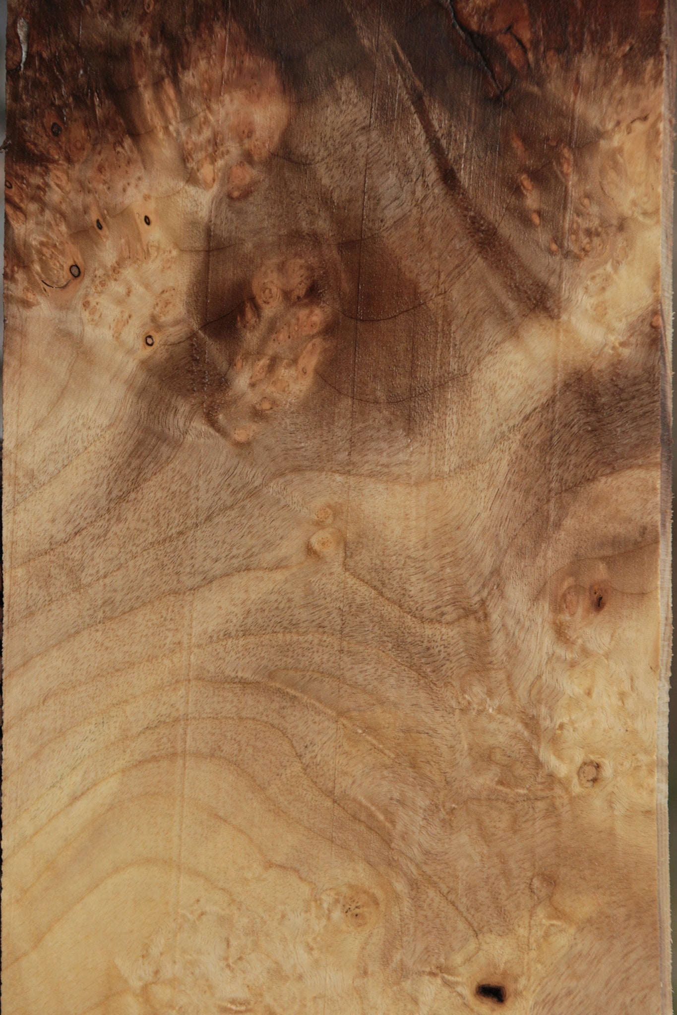Myrtle Burl Lumber