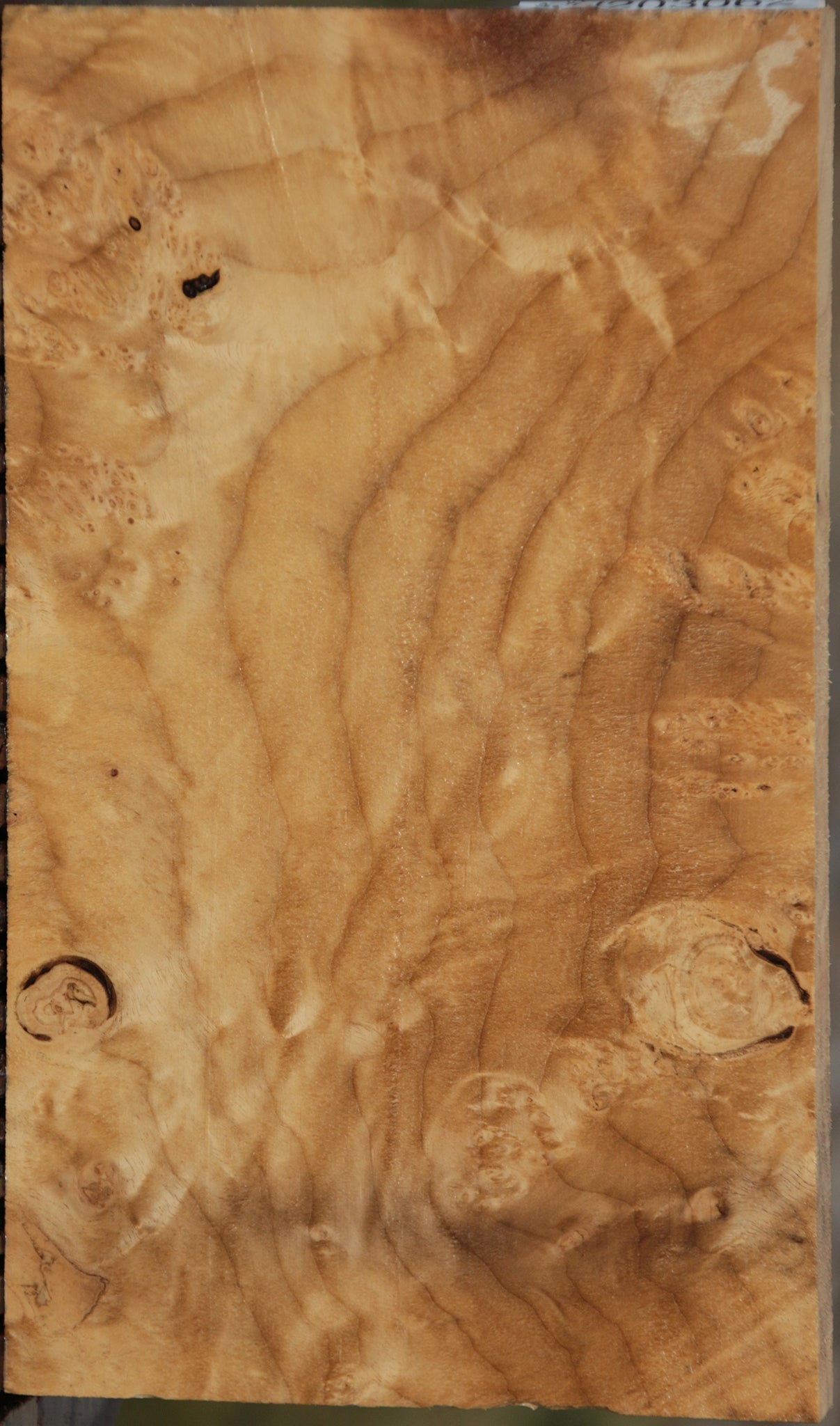 Extra Fancy Myrtle Lumber