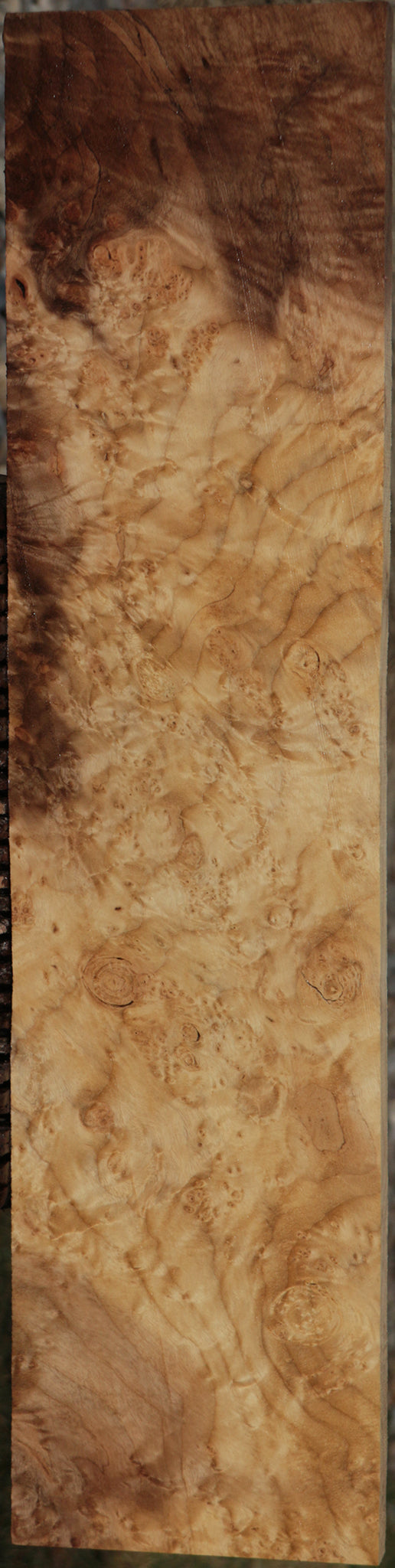 Myrtle Burl Instrument Lumber