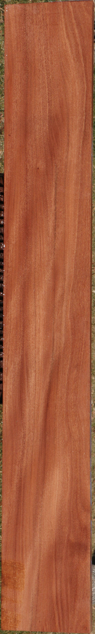 Brush Box Micro Lumber