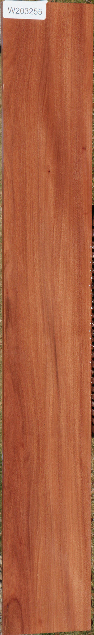 Brush Box Micro Lumber