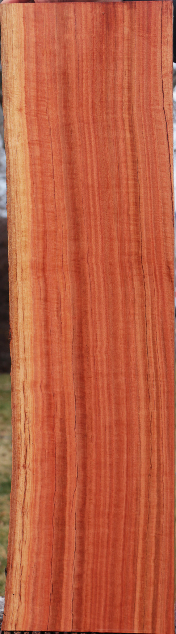 Extra Fancy Red Ironbark Live Edge Lumber