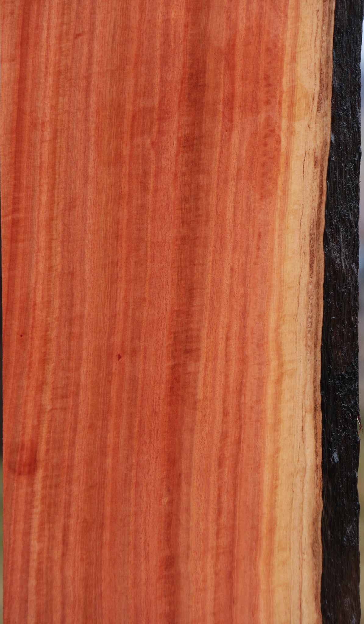 Extra Fancy Red Ironbark Live Edge Lumber