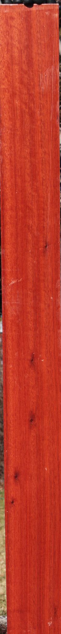 Bloodwood Lumber