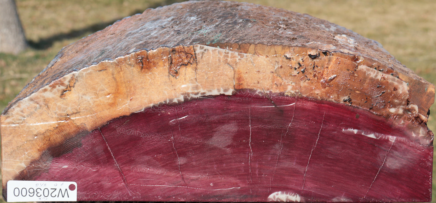 Purpleheart Half Log