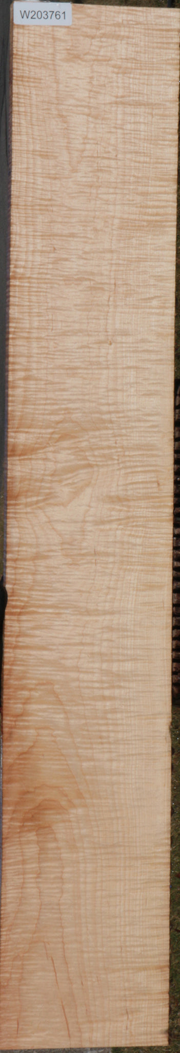Exhibition Figured Eastern Hard Maple Lumber