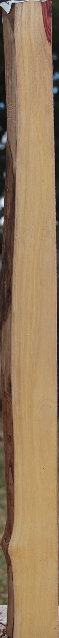 Extra Fancy Tulipwood Live Edge Lumber