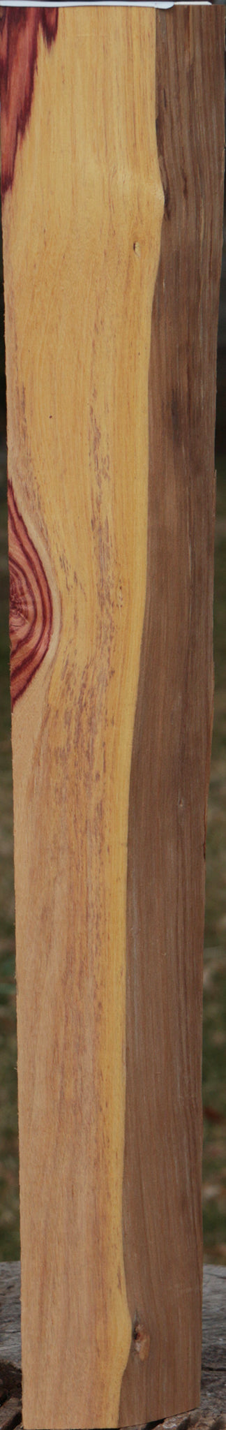 Extra Fancy Tulipwood Live Edge Lumber