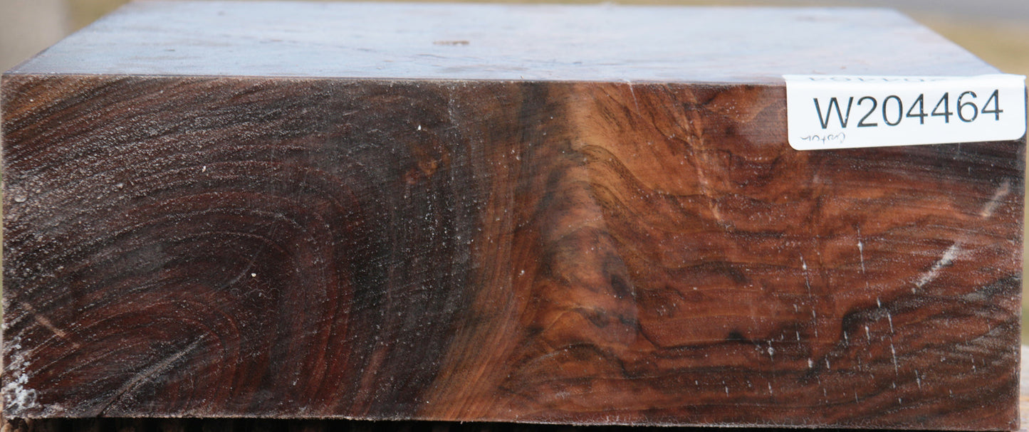 Crotchwood Claro Walnut Bowl Blank