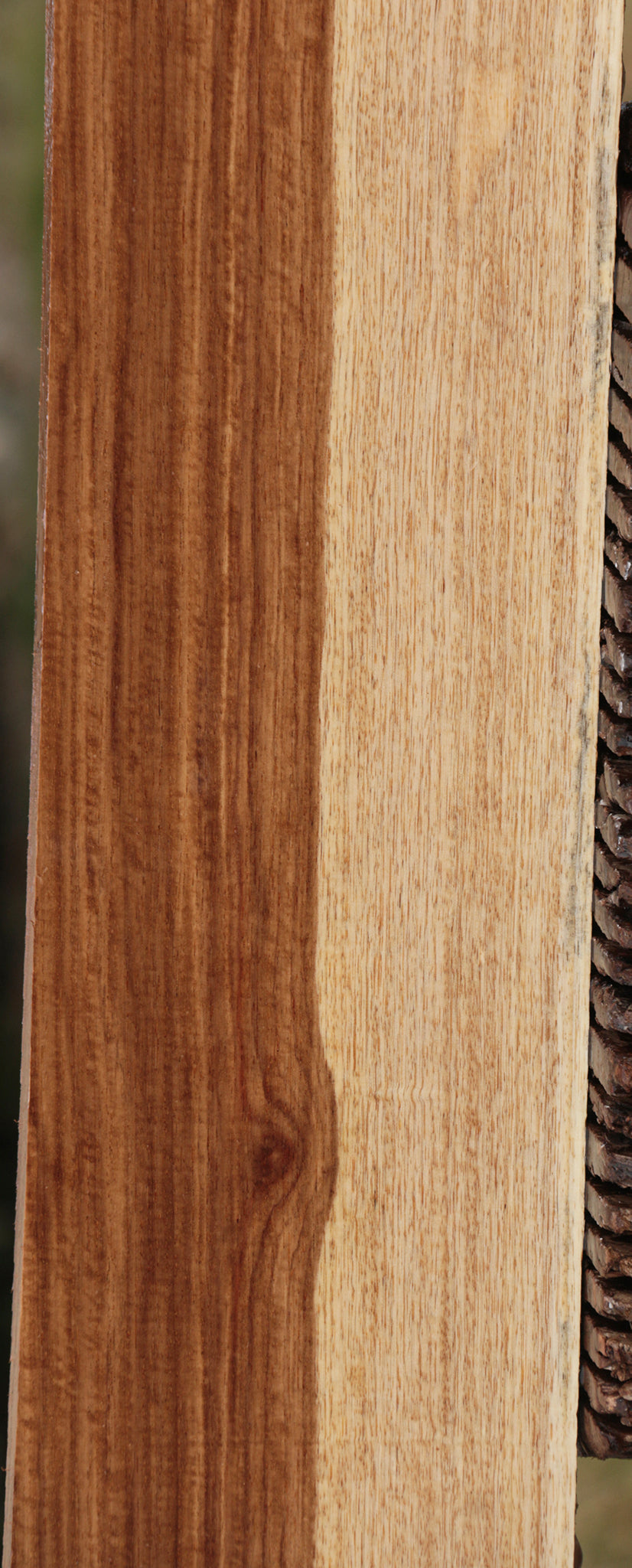 Extra Fancy Tasmanian Blackwood Lumber