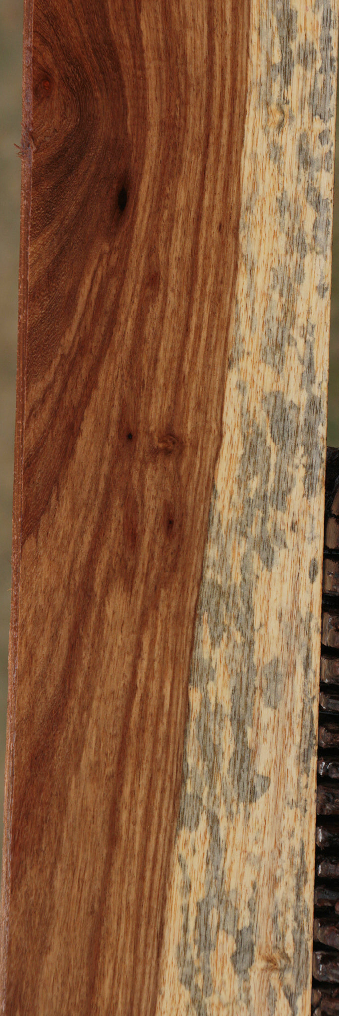 Tasmanian Blackwood Lumber