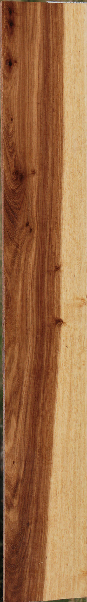 Tasmanian Blackwood Lumber