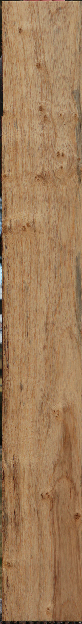 Tasmanian Blackwood Lumber