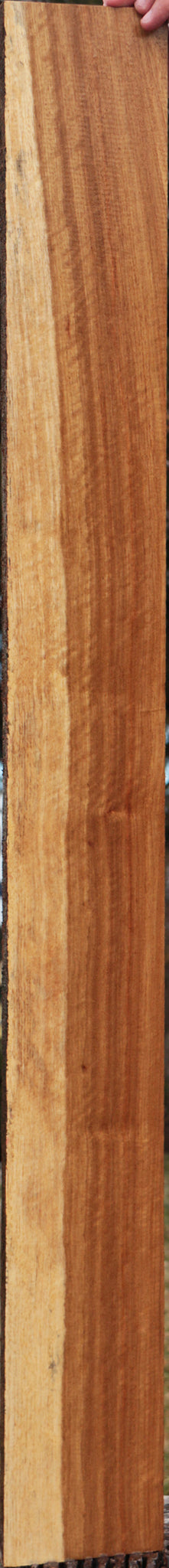Tasmanian Blackwood Lumber