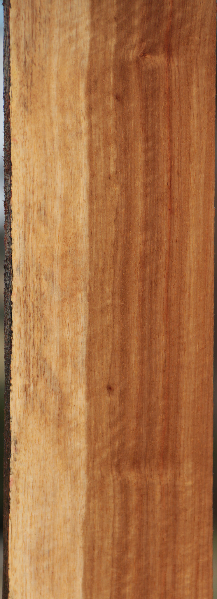 Tasmanian Blackwood Lumber
