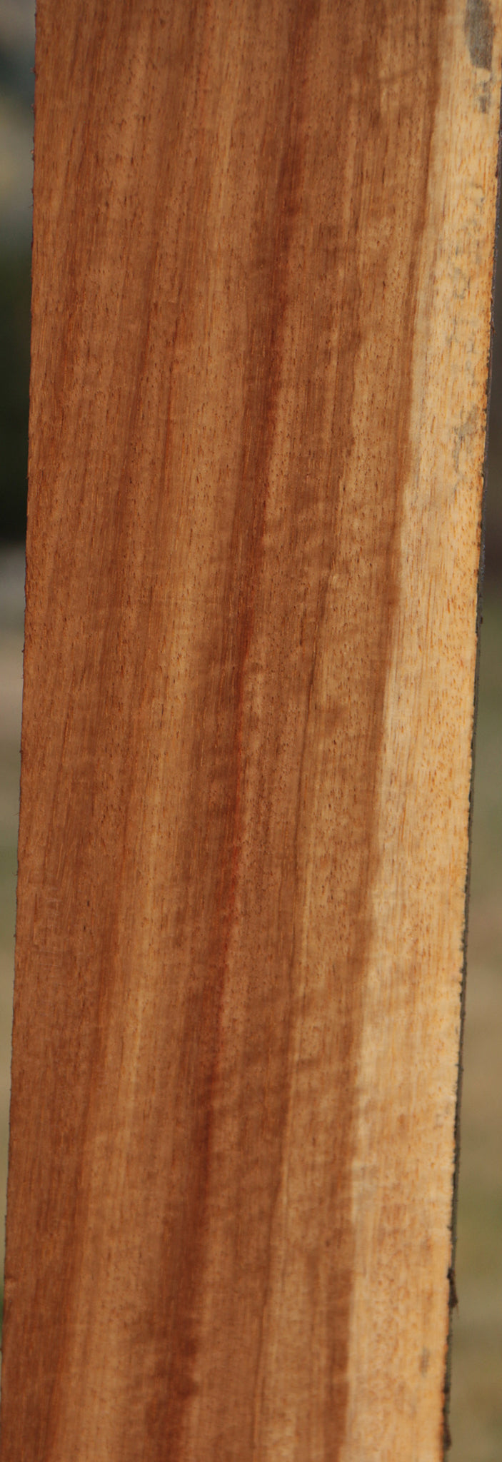 Extra Fancy Tasmanian Blackwood Lumber