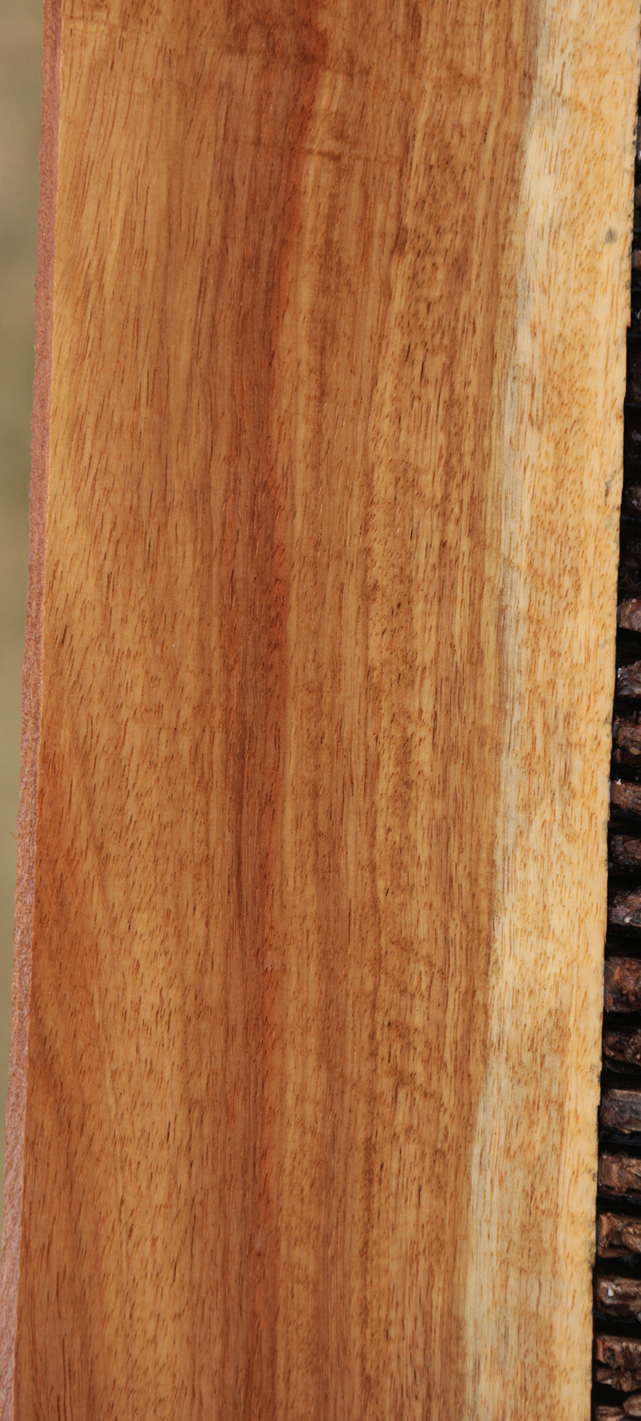 Extra Fancy Tasmanian Blackwood Lumber