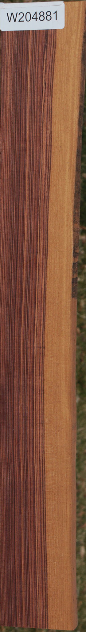 Kingwood Live Edge Lumber