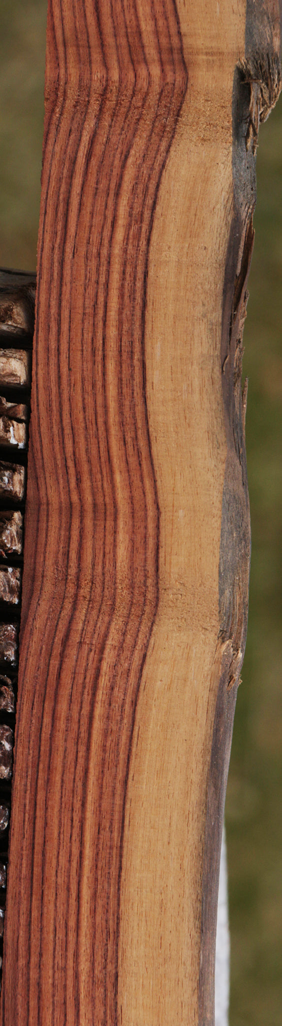 Kingwood Live Edge Lumber