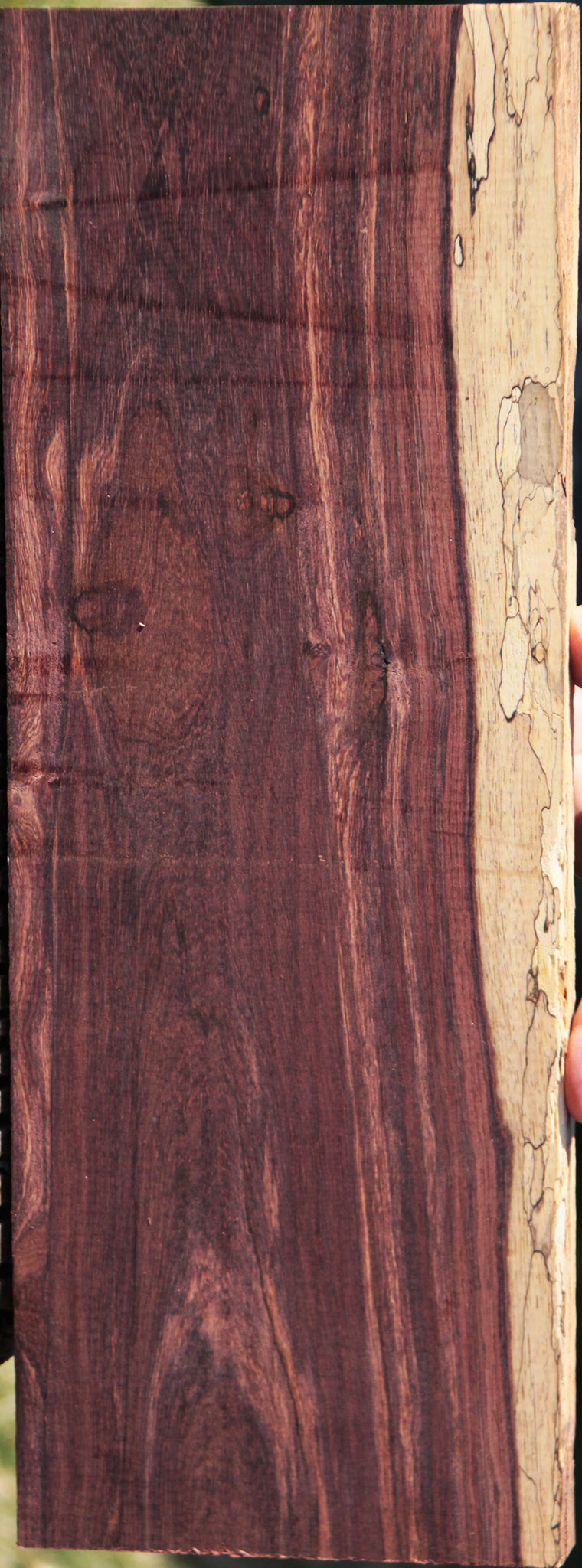 Spalted Madagascar Rosewood Lumber