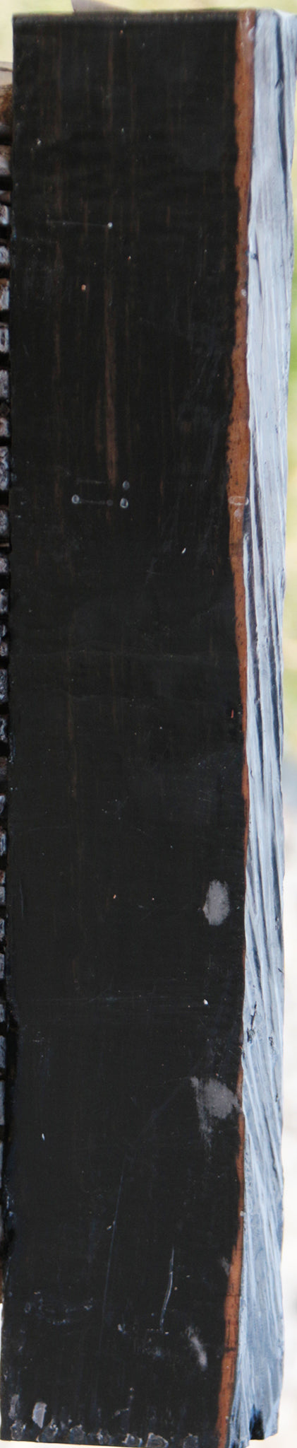 Gabon Ebony Live Edge Lumber