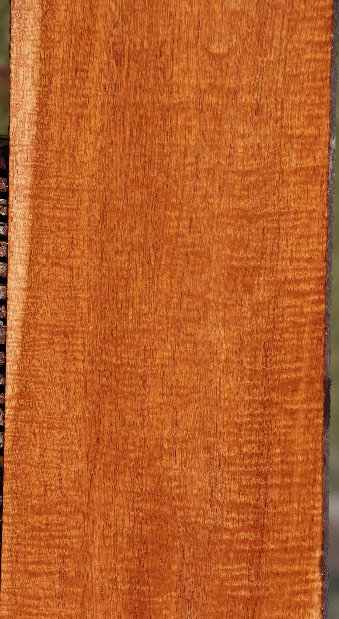 Exhibition Honduras Mahogany Lumber