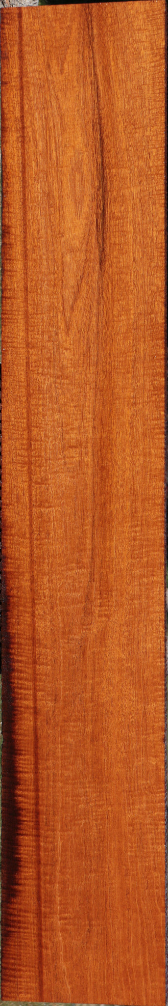Exhibition Honduras Mahogany Lumber