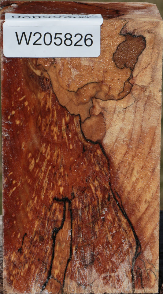 Spalted Maple Turning Blank