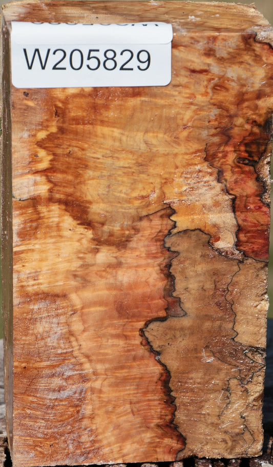 Spalted Maple Burl Turning Blank