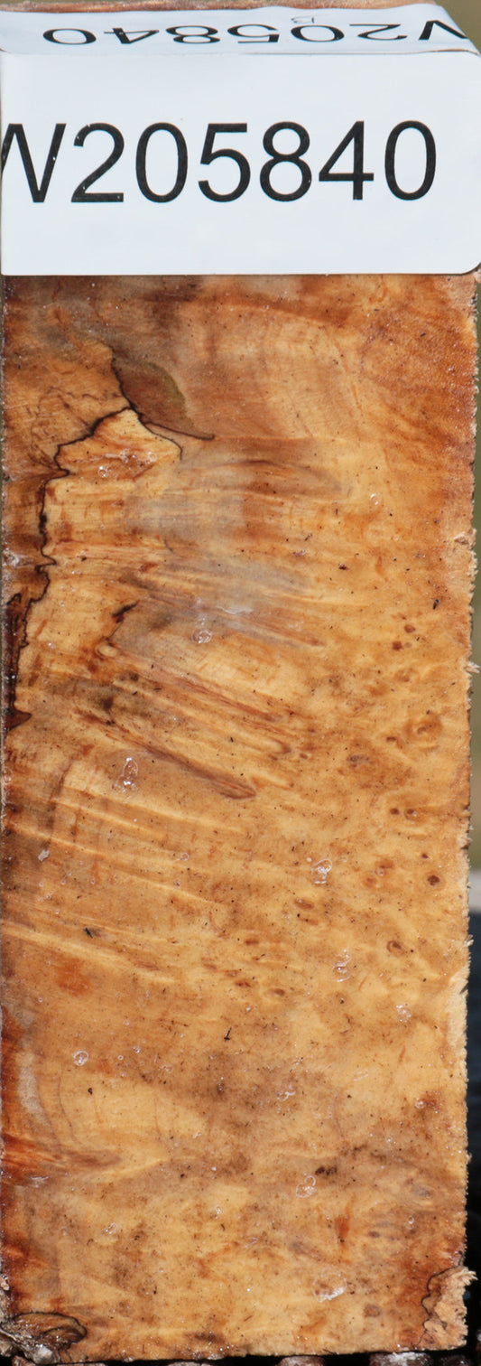 Spalted Maple Burl Lumber