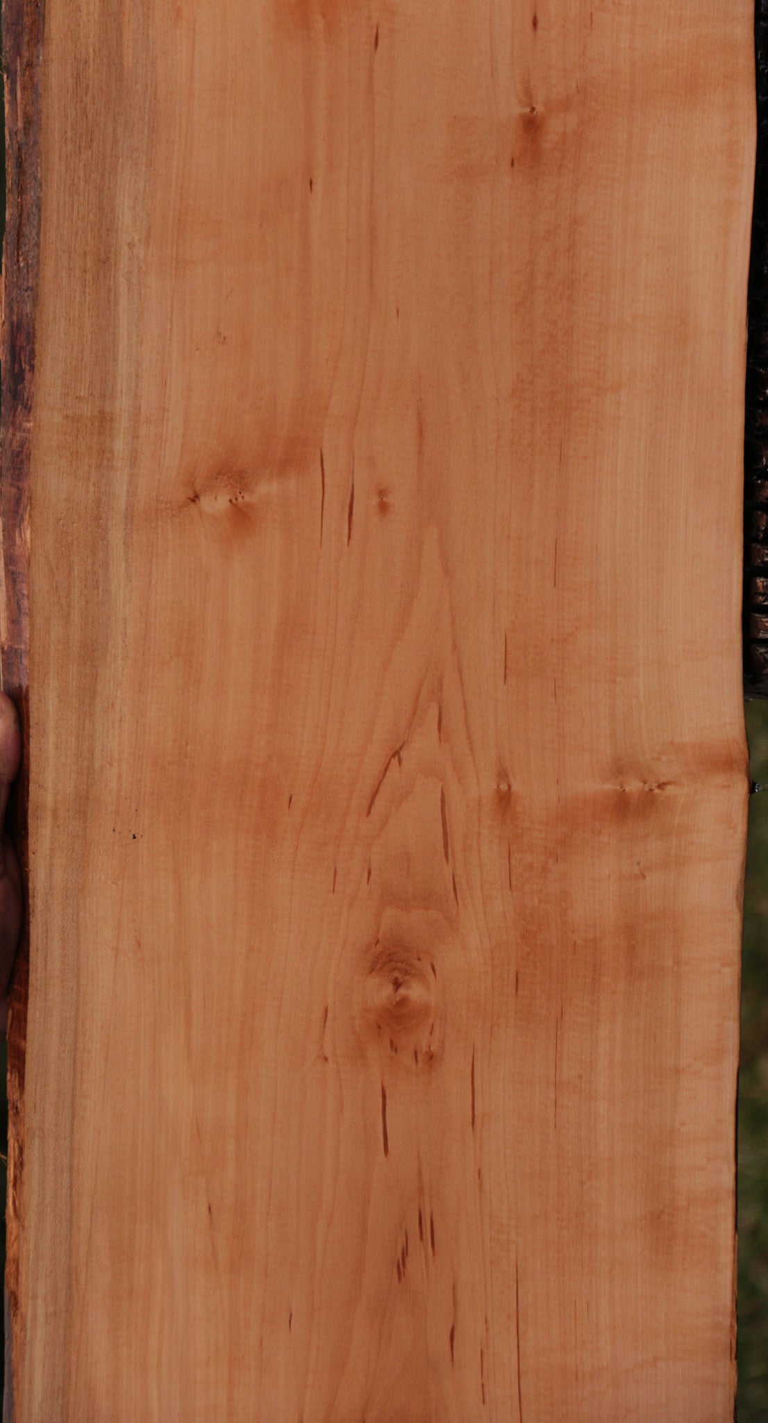 Swiss Pear Live Edge Lumber