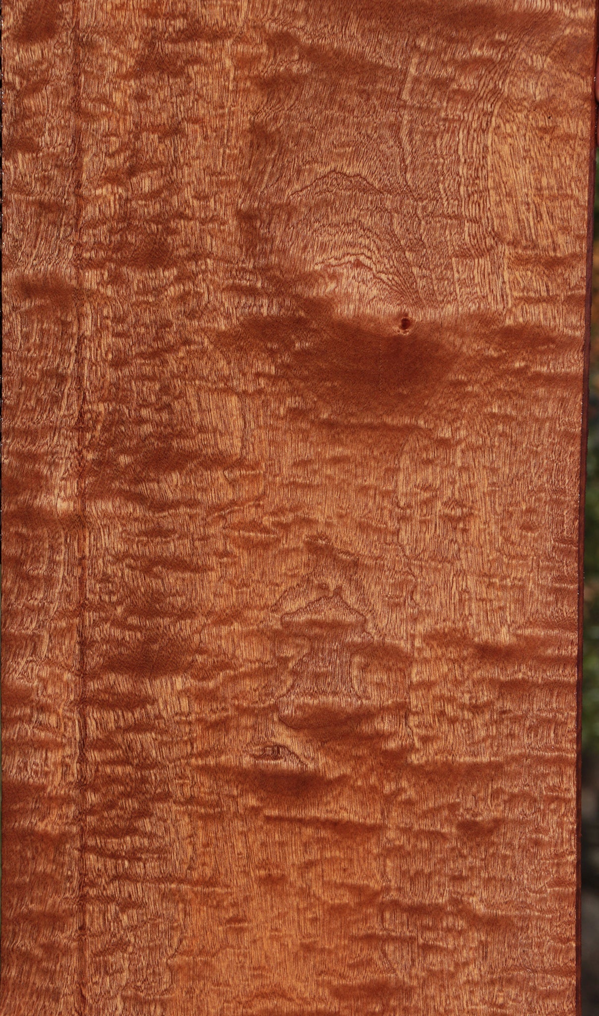 Exhibition Sapele Lumber