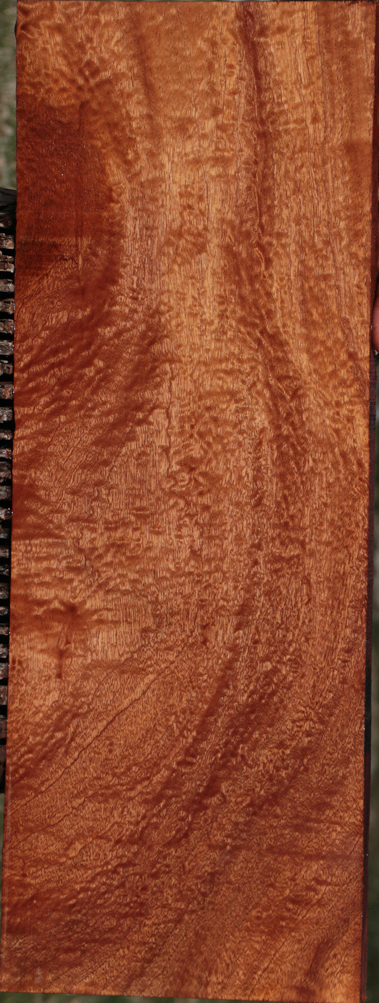 Exhibition Sapele Instrument Lumber