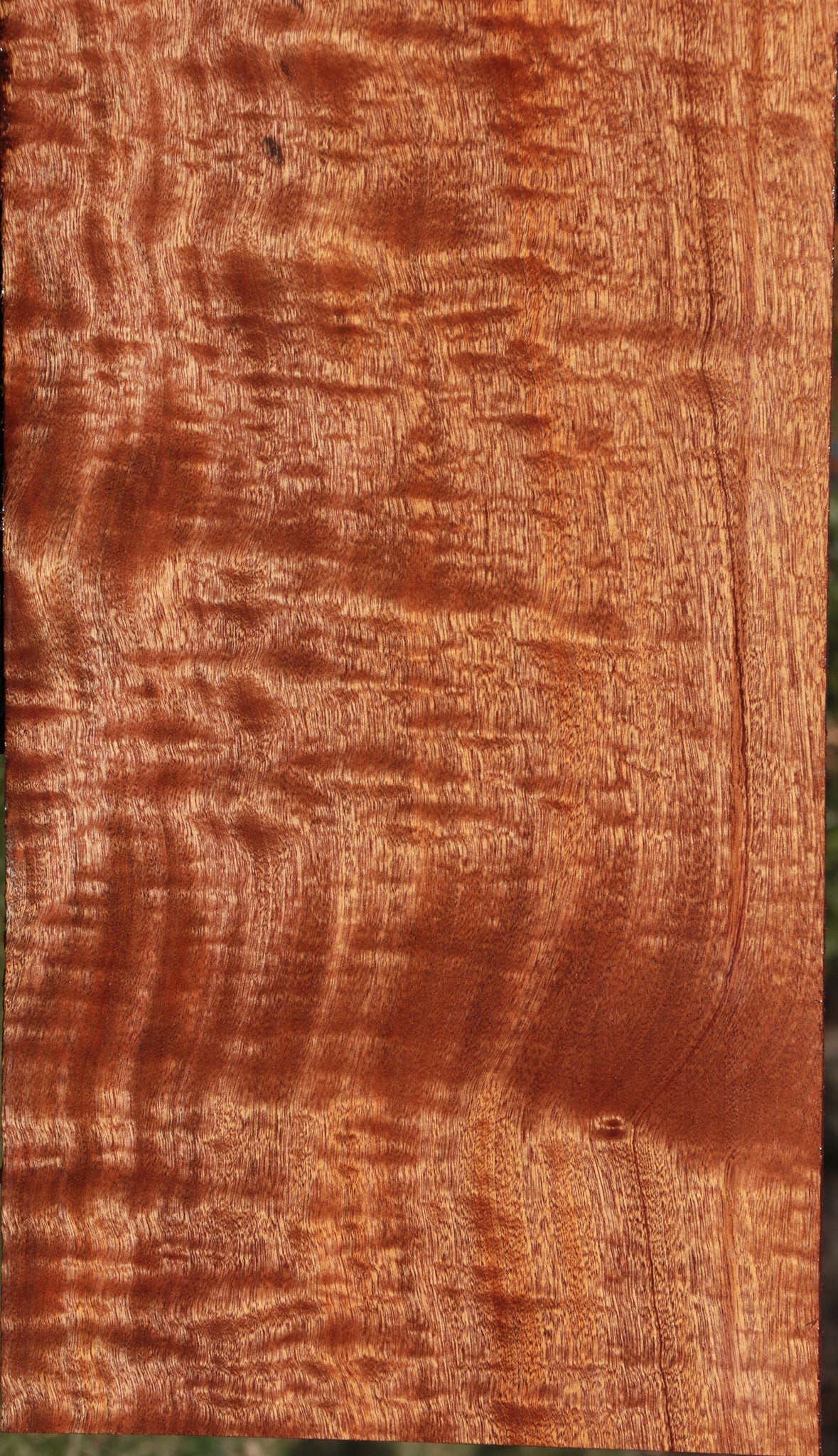 Extra Fancy Sapele Lumber