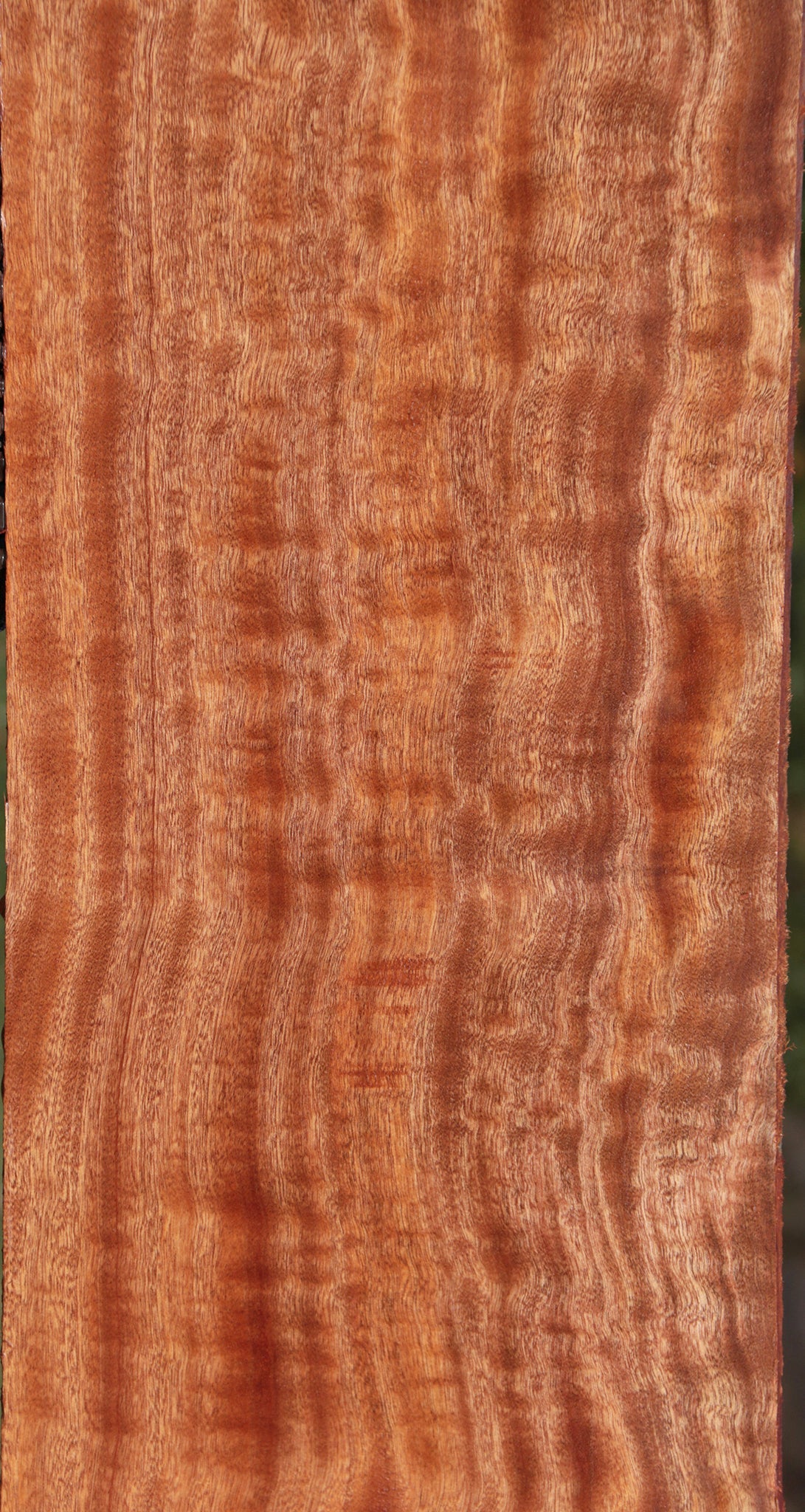 Exhibition Sapele Lumber