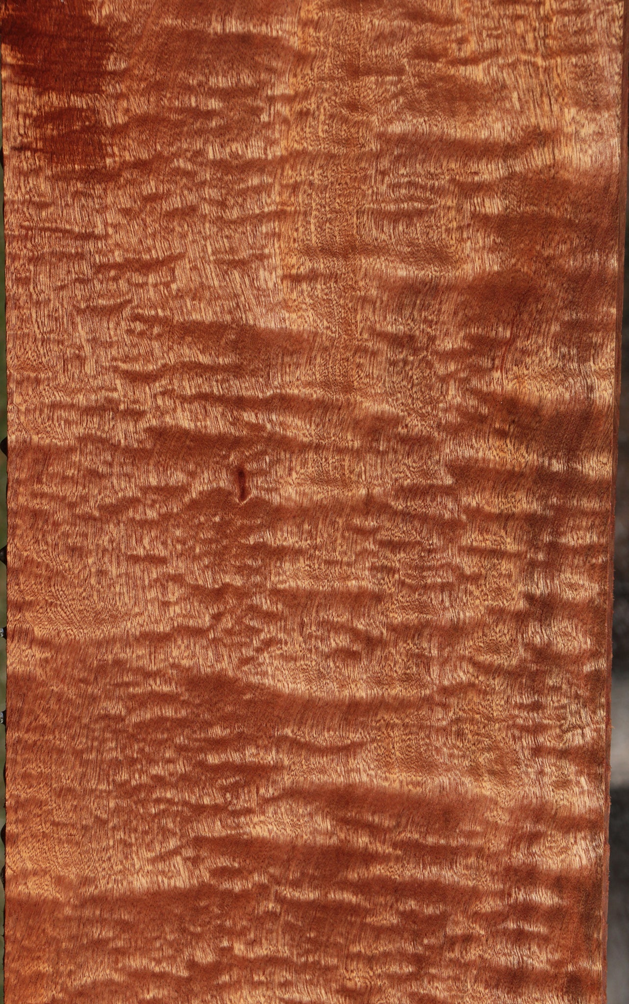 Exhibition Sapele Lumber
