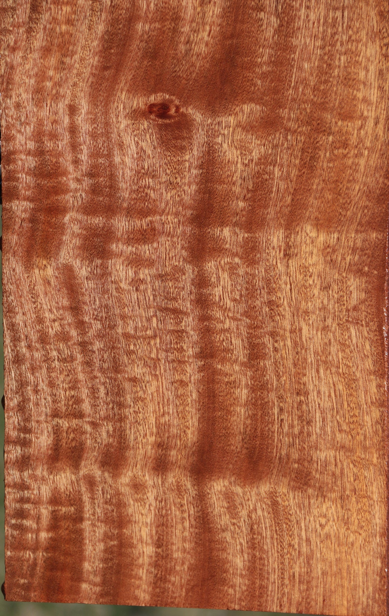 Exhibition Sapele Lumber
