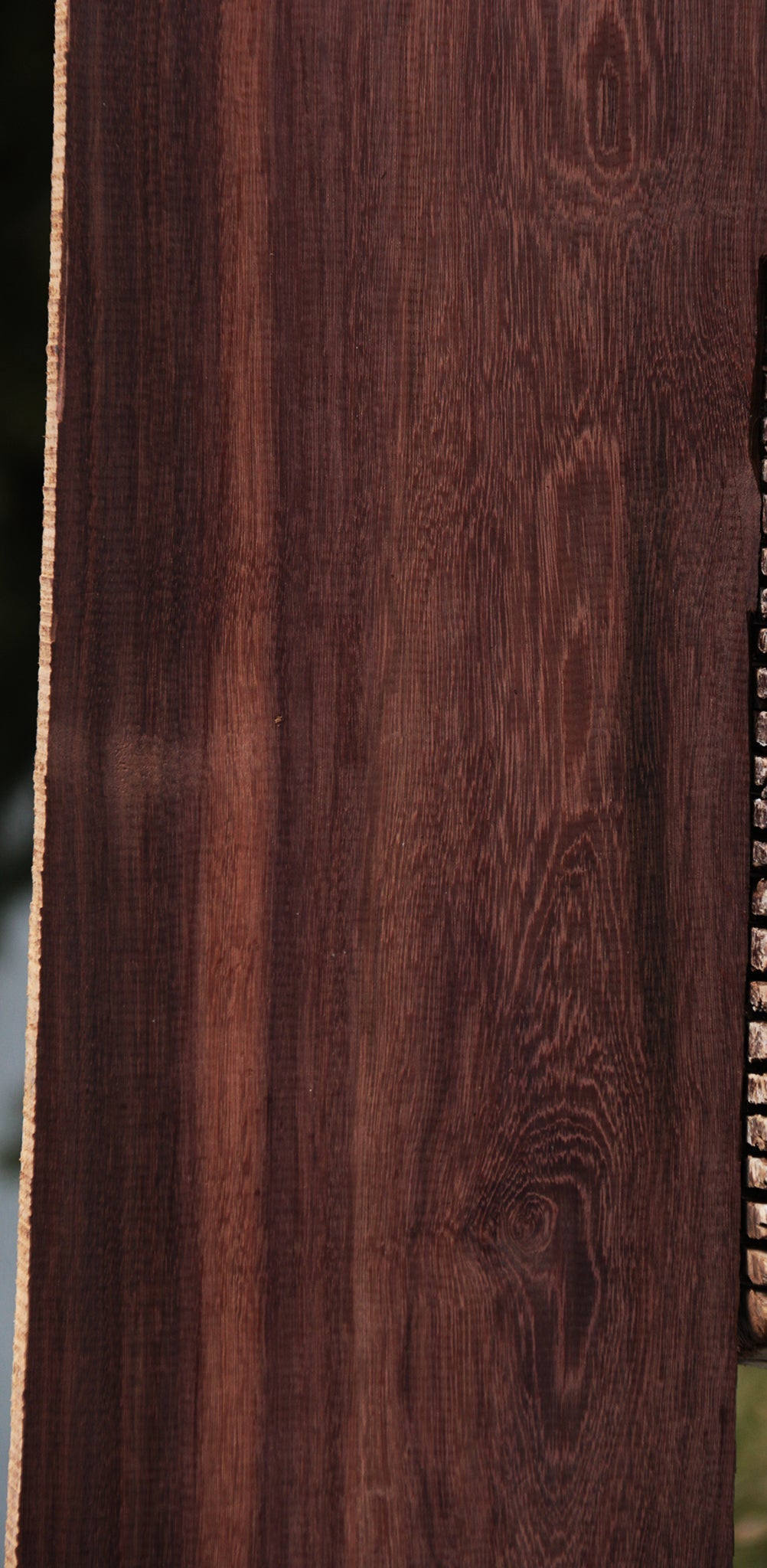 Katalox Lumber